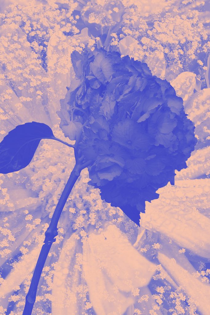 Naturaleza azul